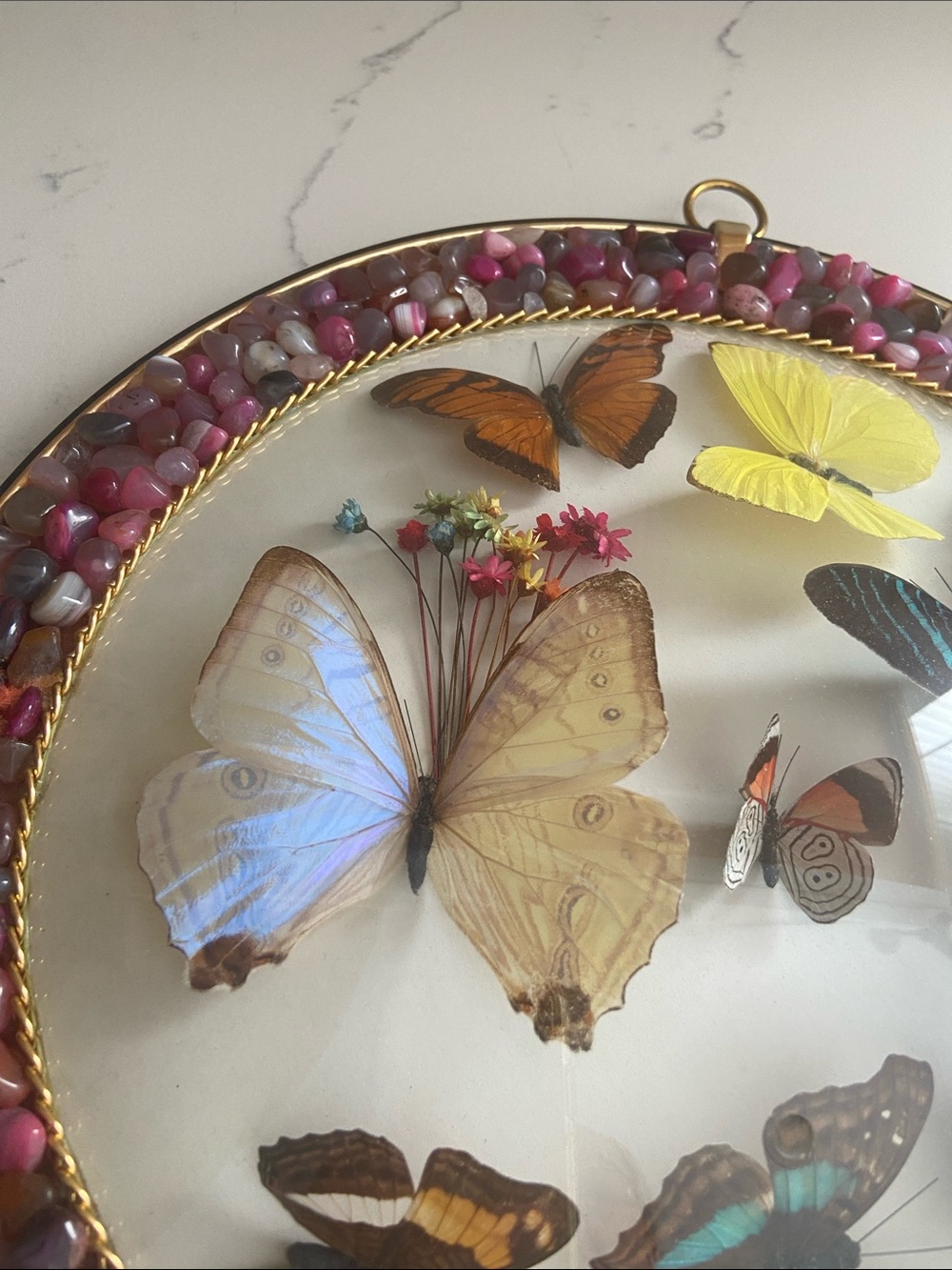 Vintage Peru Real Butterfly Specimen Wall Art Stone 10" - Picture 7 of 9